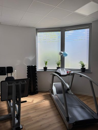 Heller Raum mit Laufband, Fitnessgeräten und Pflanzen an den Fenstern.